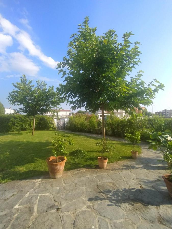 B&B Villa La Bouganville カマイオーレ エクステリア 写真