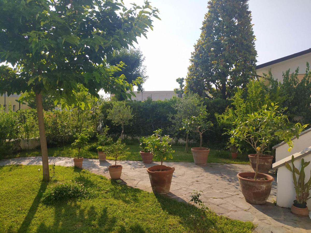 B&B Villa La Bouganville カマイオーレ エクステリア 写真