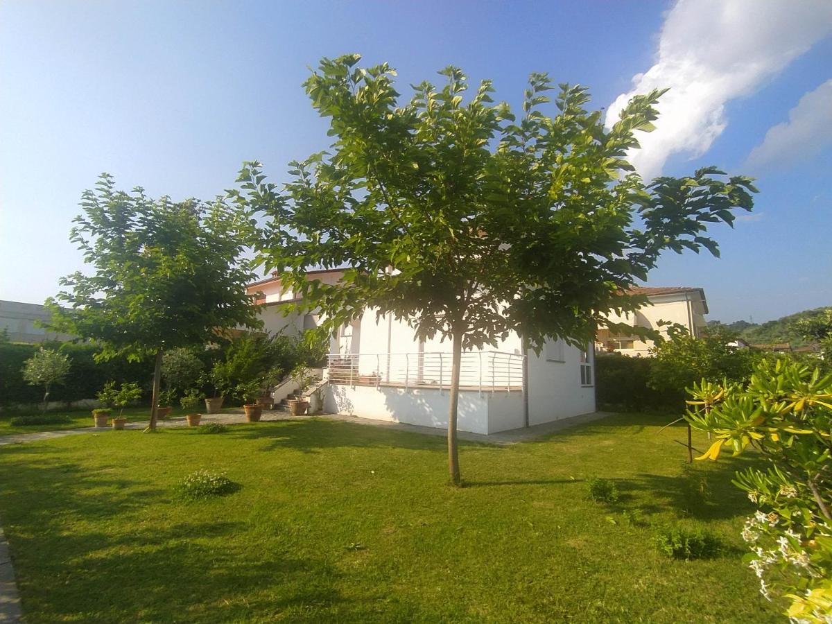 B&B Villa La Bouganville カマイオーレ エクステリア 写真
