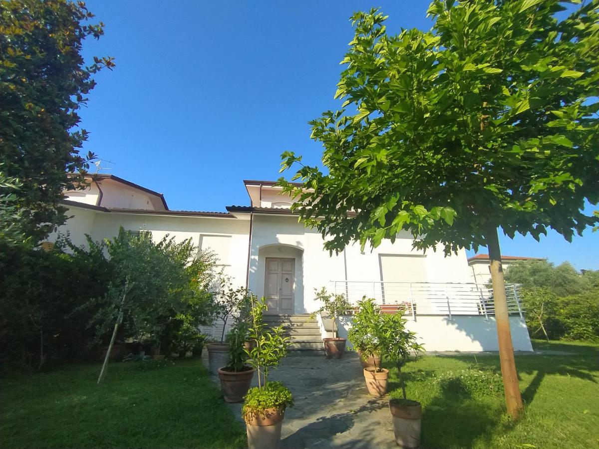 B&B Villa La Bouganville カマイオーレ エクステリア 写真