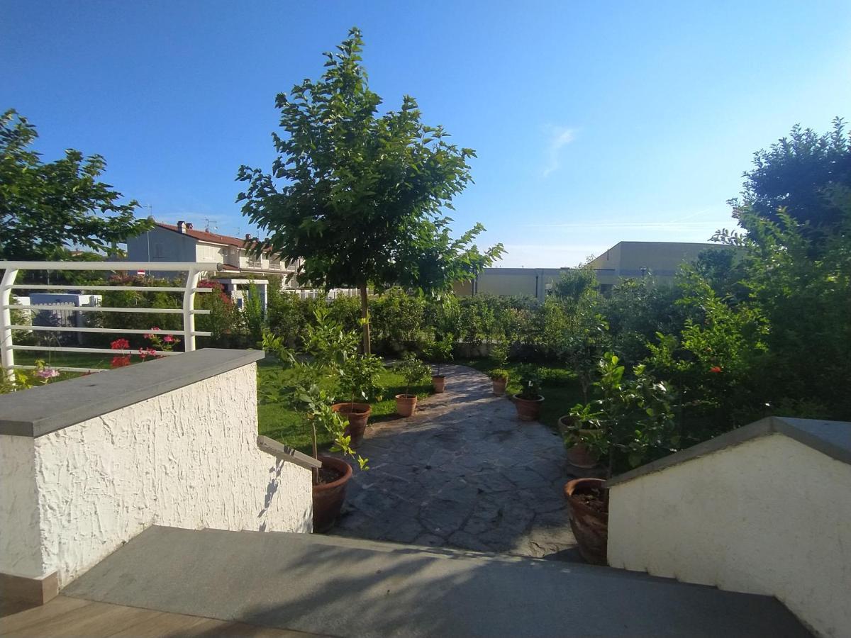 B&B Villa La Bouganville カマイオーレ エクステリア 写真