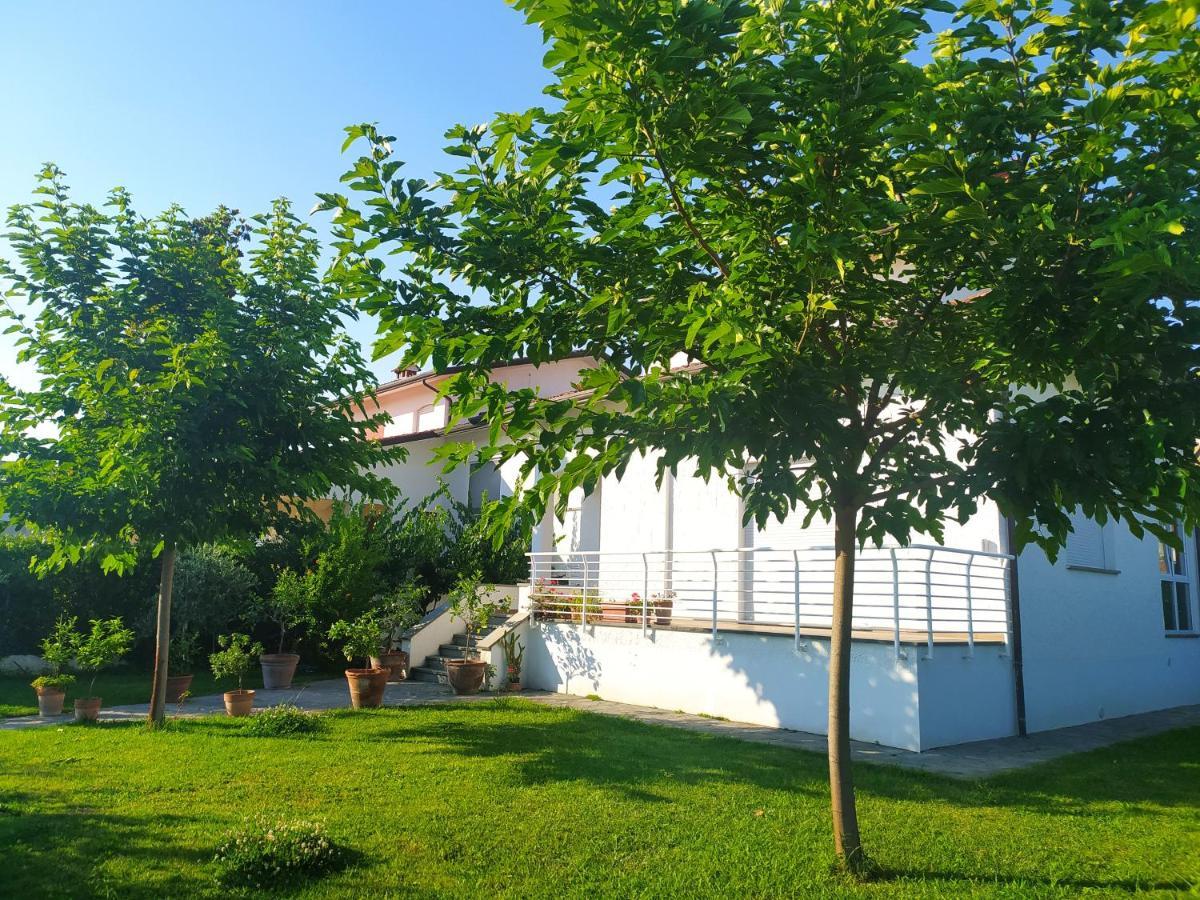 B&B Villa La Bouganville カマイオーレ エクステリア 写真