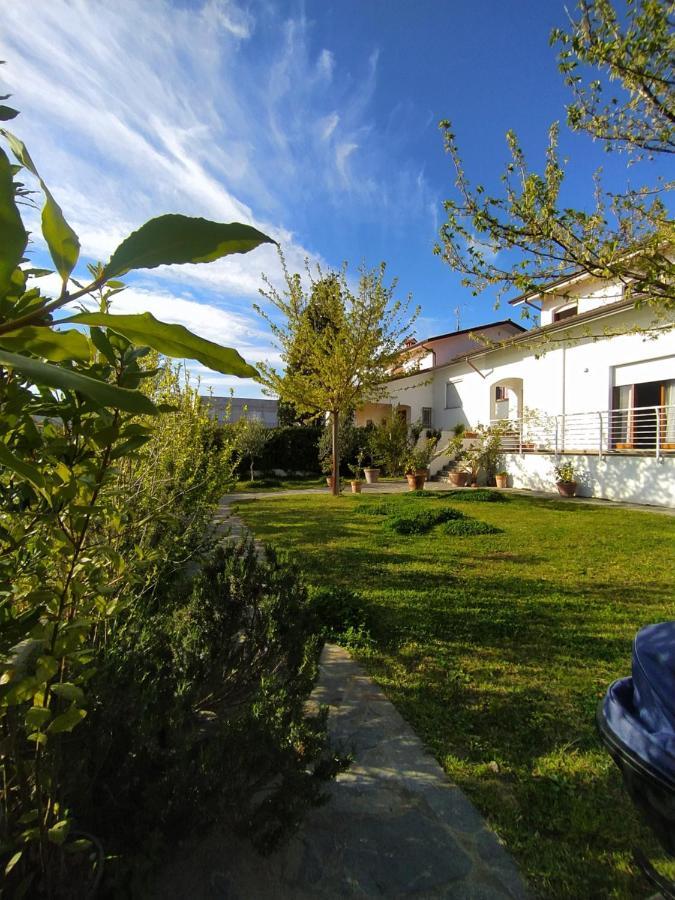 B&B Villa La Bouganville カマイオーレ エクステリア 写真
