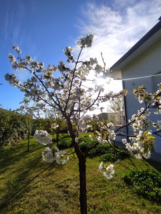 B&B Villa La Bouganville カマイオーレ エクステリア 写真