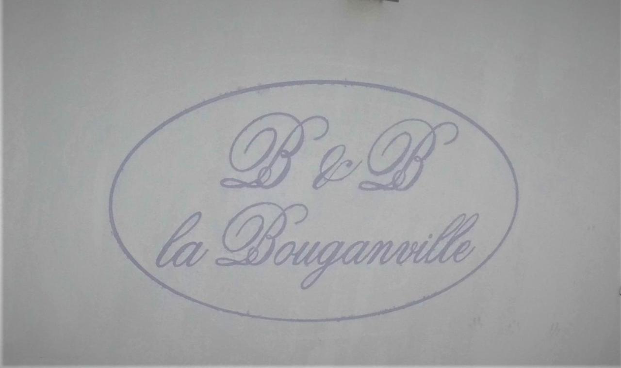 B&B Villa La Bouganville カマイオーレ エクステリア 写真